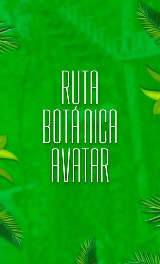 Ruta Botánica Avatar: Descubriendo la Riqueza Arbórea de la Amazonía