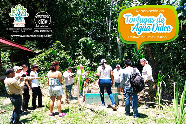 Taricayas en Acción: Salvando una Especie en Peligro