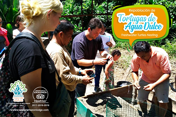 Taricayas en Acción: Salvando una Especie en Peligro