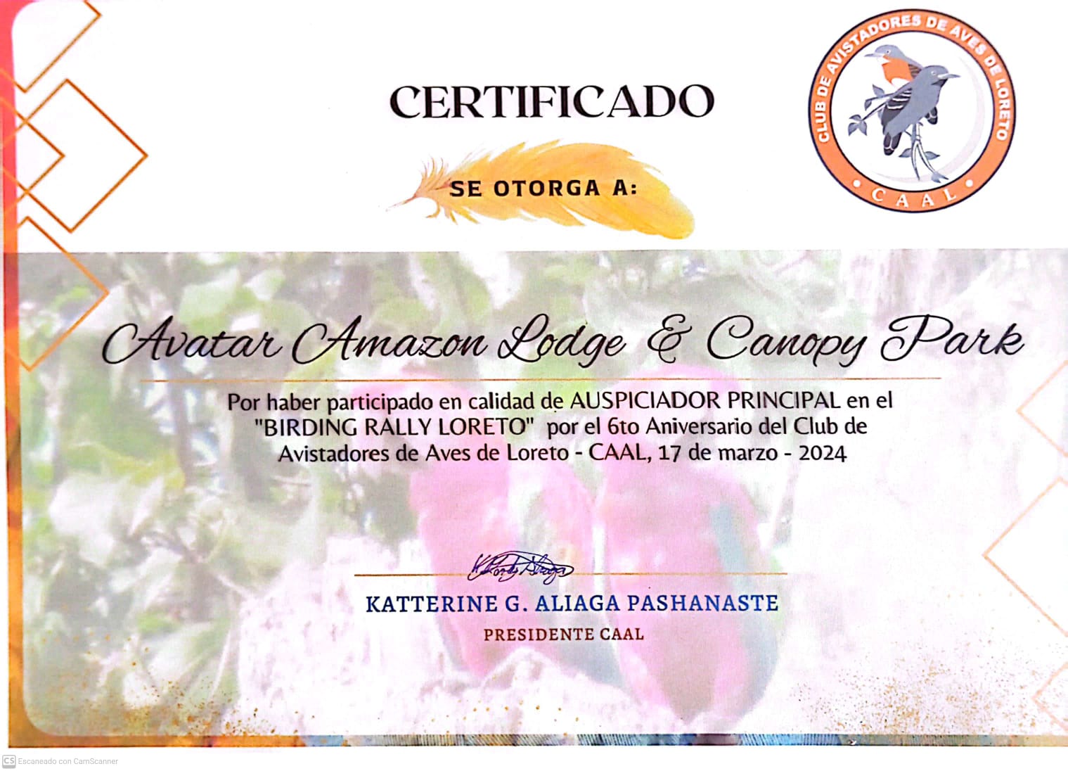 Caminos de Plumas: Educación y Conservación de nuestas aves