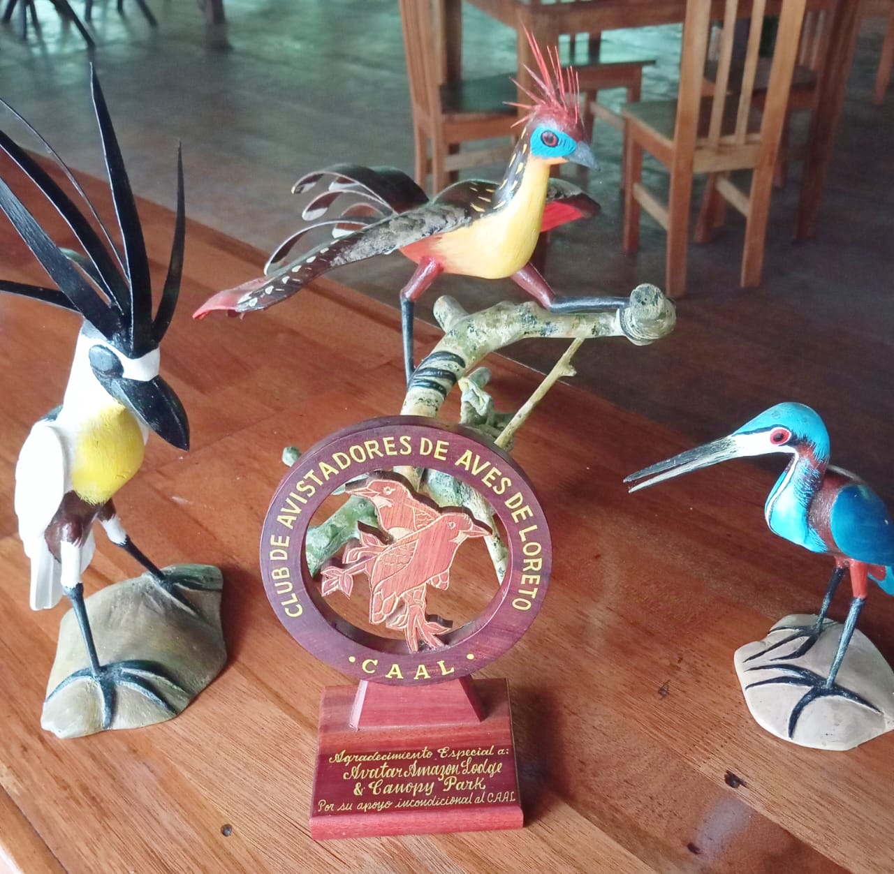 Caminos de Plumas: Educación y Conservación de nuestas aves