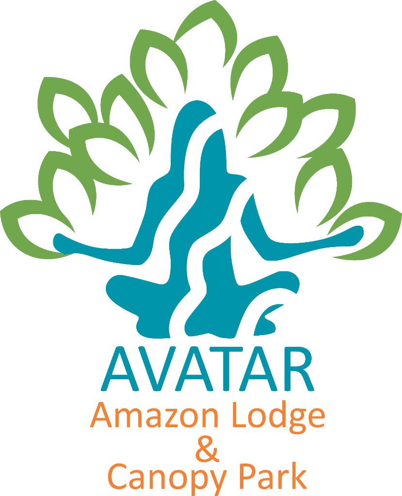 Avatar Amazon Lodge